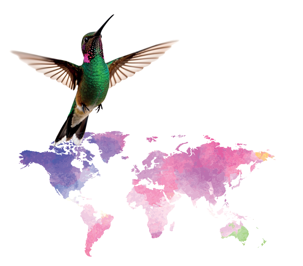 WILLKOMMEN IN DER WELT DER KOLIBRI KÜNSTLERPINSEL